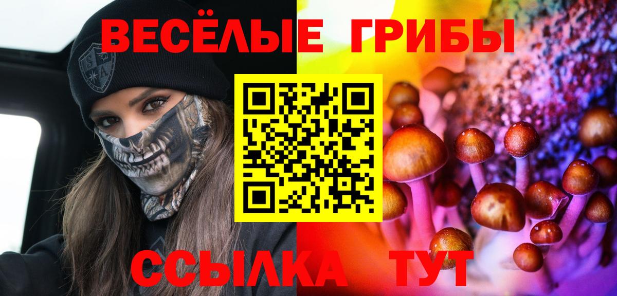 Псилоцибиновые грибы GOLDEN TEACHER Лесосибирск